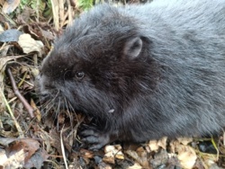 743b3ffa-7eed-4dd2-abb6-5c3ab5178cef