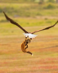 a4c5c02a-950e-421c-8fd5-2101a0068092