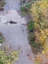 6cfbd03a-32ce-465b-95bd-4dde97dee43d