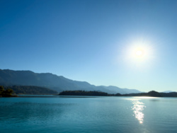 af46f993-d041-4b03-b8f0-22b191c71442