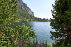 8b7f1dfe-786b-4561-89a2-688f217bef82