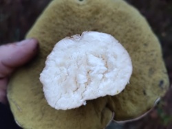 731d9c35-80cc-46b2-8d40-c6560e498032