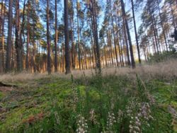 01387907-61a1-4c0b-9b2b-78666e2dab1d