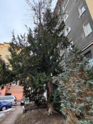 08ee4ef0-599d-4794-abdc-0008bbc3dfe0