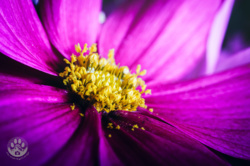 32aa9a47-dd18-4ea7-b8f7-f338b75b6336