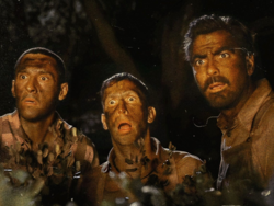 e95897e6-92c3-45ac-9e0f-1292d8065374