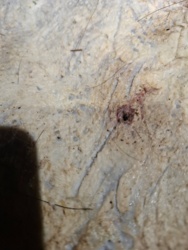 26089b17-2a30-4f91-b05b-41daa9695810