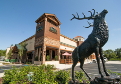 04c6558c-352b-48c1-8e43-a86effd62851