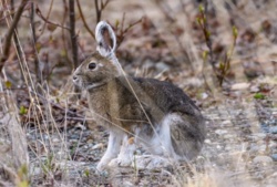 e08672d1-5892-440b-b40d-c5cde8b62871