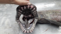 37704bb3-0fa4-48f8-b39b-a72dfe44cd67