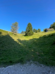 76da1abe-94fe-428f-af72-2a165406acc1