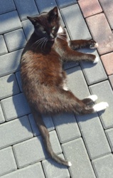 5ae123ce-dae3-4711-9e27-f7b67987e3c7