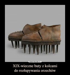 9c53b4f1-903a-473e-8cfc-b08b17c02f86