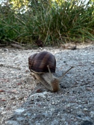 a6c9abc5-f3bf-40d2-8202-cf5945396544