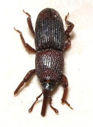 f9ab43fc-a042-4b5f-ac96-cdeda66cc0a8