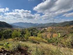 a1b1e87d-10b6-45d0-8665-7b2a7675872d