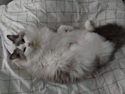 4f62640a-3138-474a-a84f-f6e043294ede