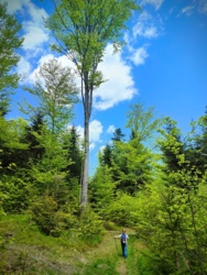 f650d508-0b76-4deb-997e-009115863979