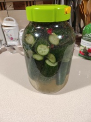 801d7569-1d29-401d-8920-bf0147feb035