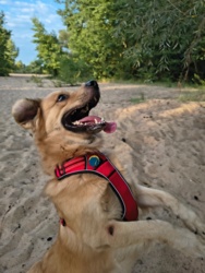 e3275723-a590-4a47-b671-58d8382d1667