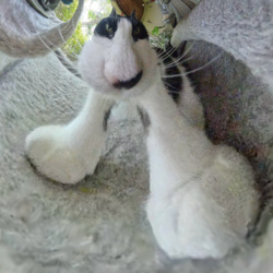 e4e7f5de-ef51-4a05-a510-fada620e723b