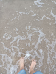 c6662e3c-bfe1-4dca-b8fa-fd7b62ada8d5