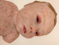 2da78538-5ed5-40db-8e39-cd623cf194f0