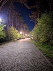 a862240d-8fea-4d41-80f4-68dadeab101e