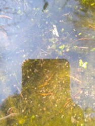 74a02299-0202-4d27-9e7b-dab0ca1d7846