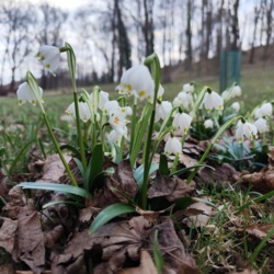 43522e61-16ee-4473-9dd0-b935f2a99847