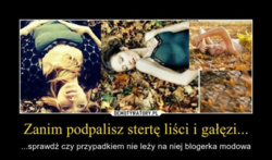 18660f67-cb25-4305-aae7-45e9d3f397da