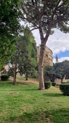 c05866e9-b859-43a3-8a56-64938a505304