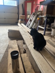 da8e371e-00a2-4f5e-8182-c65edc075c81