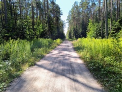 882244d4-1f64-4da0-8df9-e6da3faf1278