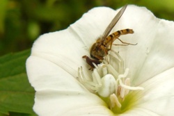 ac8de44c-9a0e-4253-9270-ccfab018928b