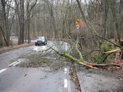 Orkan Eunice. Sobota w Polsce z groźnymi wichurami. Są ofiary śmiertelne