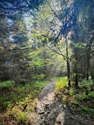 af3384ee-6262-4ba6-9797-50c5a9cbd0de