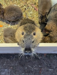 2bc7081c-0361-4c13-8e52-59f461387724