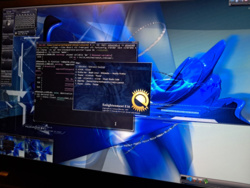 21-letnia polska deweloperka naprawiła błąd, który siedział w oprogramowaniu Linuksa prawie 20 lat