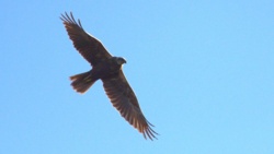 c864c9e6-6abd-4ae8-9703-ce5fe02d4772