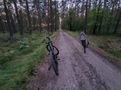 885efcba-27f2-406a-9209-030a297ed96c