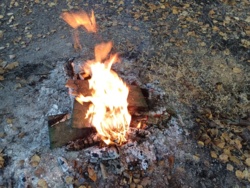 a3154ece-7a8a-461e-a1bf-025cd95eda8b