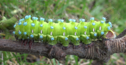 872f2c9f-6a08-4115-a24a-b8eb93421496