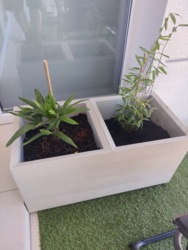 5f4851da-10fd-46e7-a856-7a7200776ee7