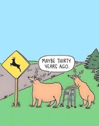 d8d030ef-7f6b-485c-844e-a3432110898b