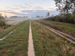 88880534-62c7-4fb7-bebd-35c17a2c1c80