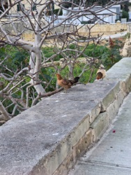 c0845940-4eb5-49fb-9f07-e5e0bbbe6143