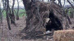 Wojna w Ukrainie. Tak mieszkają rosyjscy żołnierze. Ukraiński polityk: to nie żart