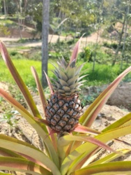 55900528-5bd0-4952-8a4e-961fdf6cf3d5