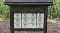 24b42c17-5ed2-4fd5-9512-25ffdf546293